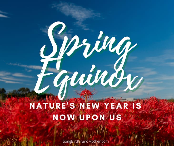 Equinox 2022-Nature’s New Year